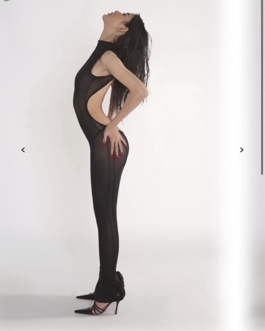 Fanci Club Backless Sheer Dress - Image 1