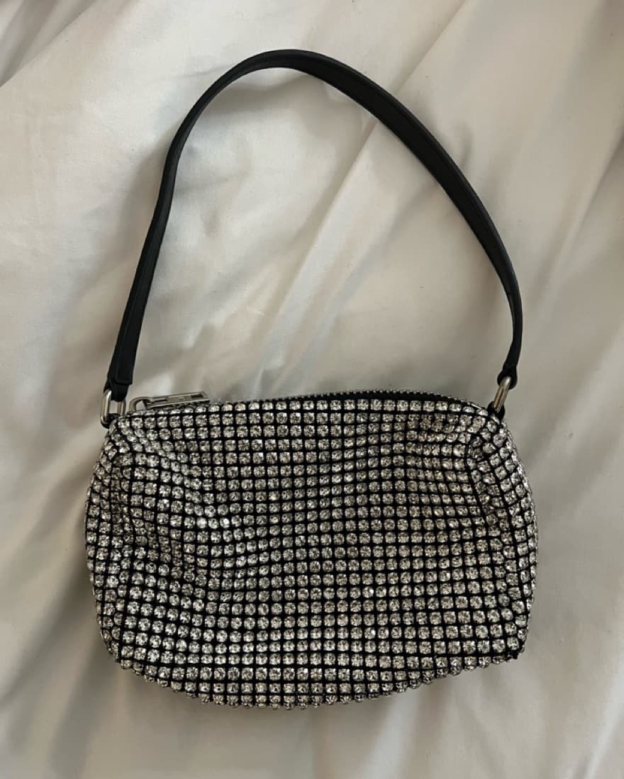 Alexander Wang Heiress Pouch  - Image 2