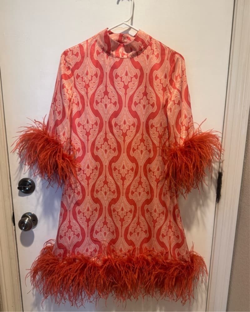 Feathered Mini Dress by Hyacinth House - Image 1