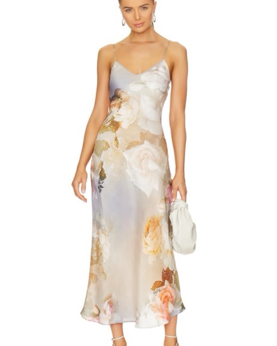 Allsaings Dress - Image 1