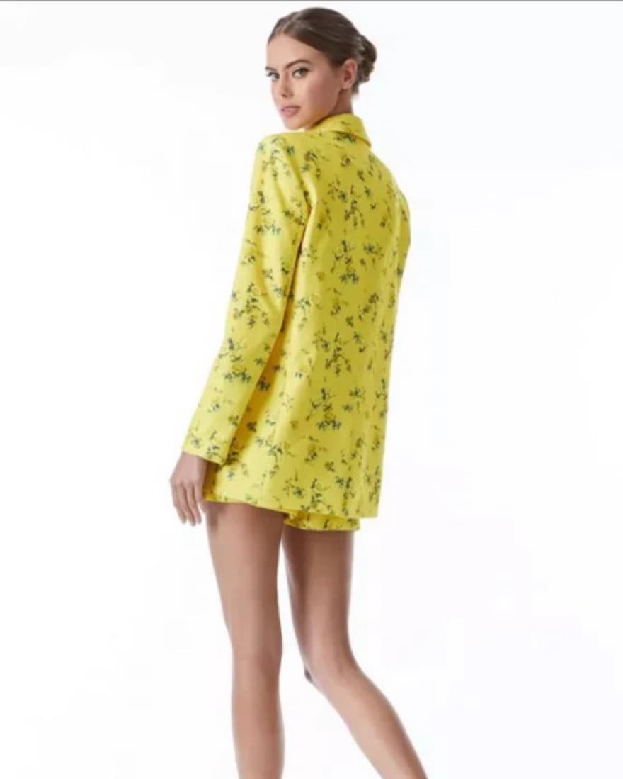 Alice + Olivia Blazer - Image 3