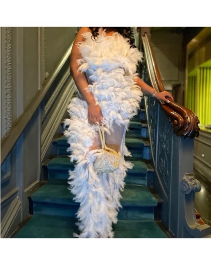 Exquisite Feathered Gown - Image 1