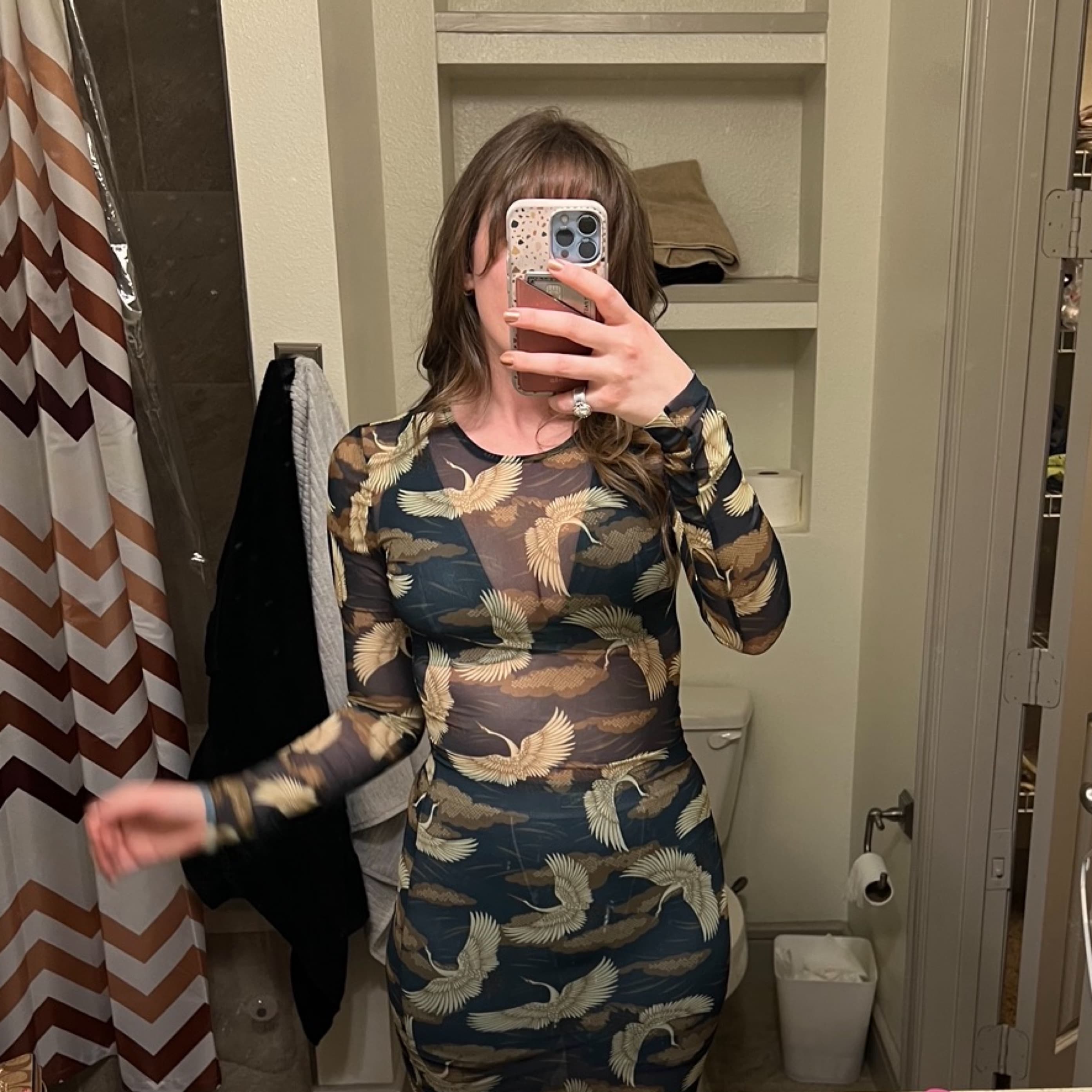 Mesh Bird Print Dress - Image 1