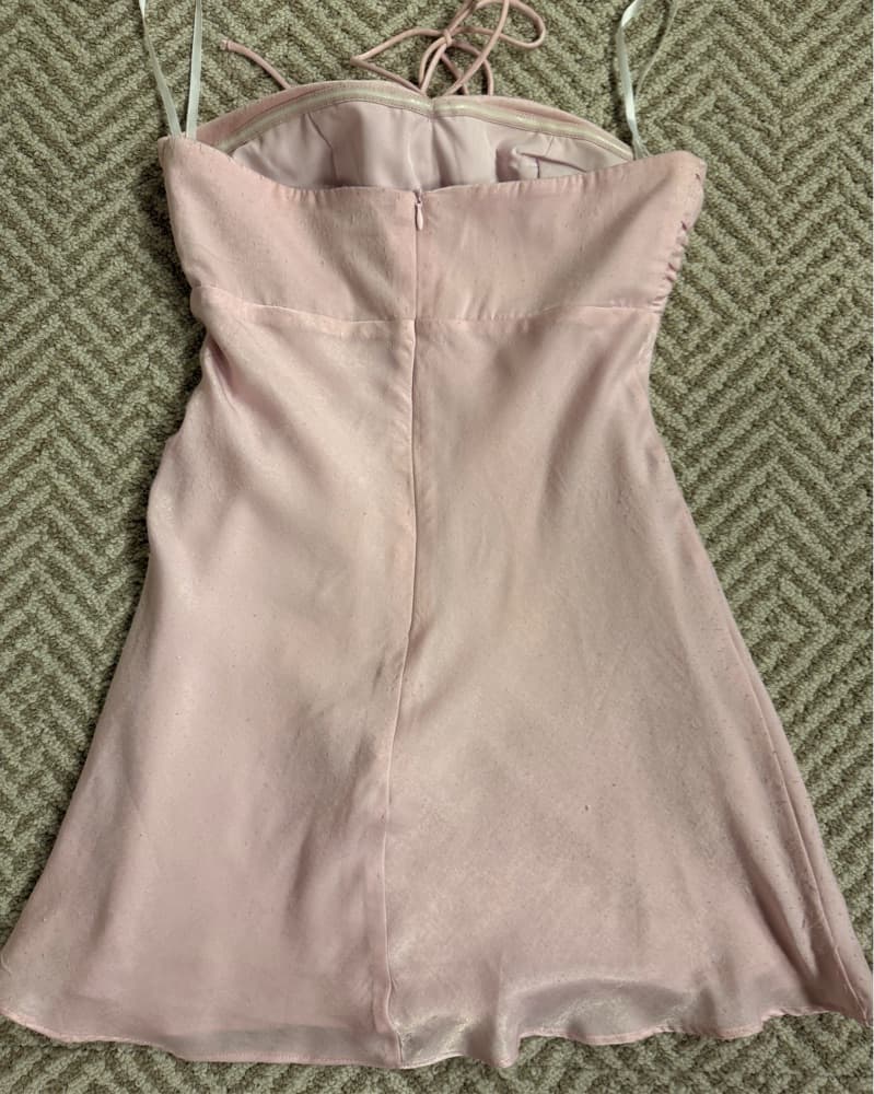 Pink Revolve Dress  - Image 2