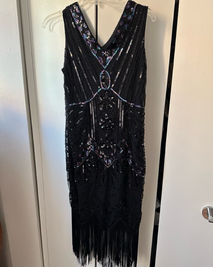 1920’s Flapper Sequin & Fringe Dress - Image 1