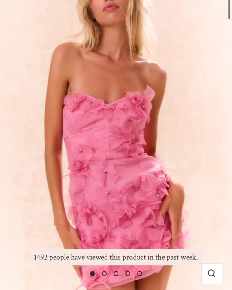 LoveShackFancy Sabila Organza Mini Dress - Image 1
