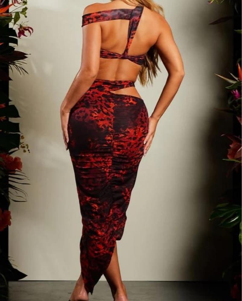 Red Leopard Print Crop Top And Skirt Set - Image 2