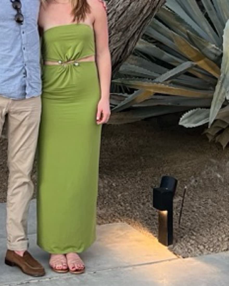 Reformation Amaia Dress - Image 2