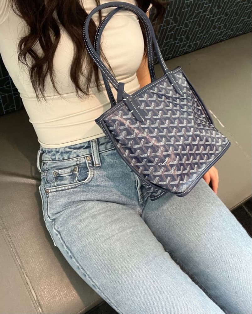 Navy Goyard Mini Anjou - Image 1