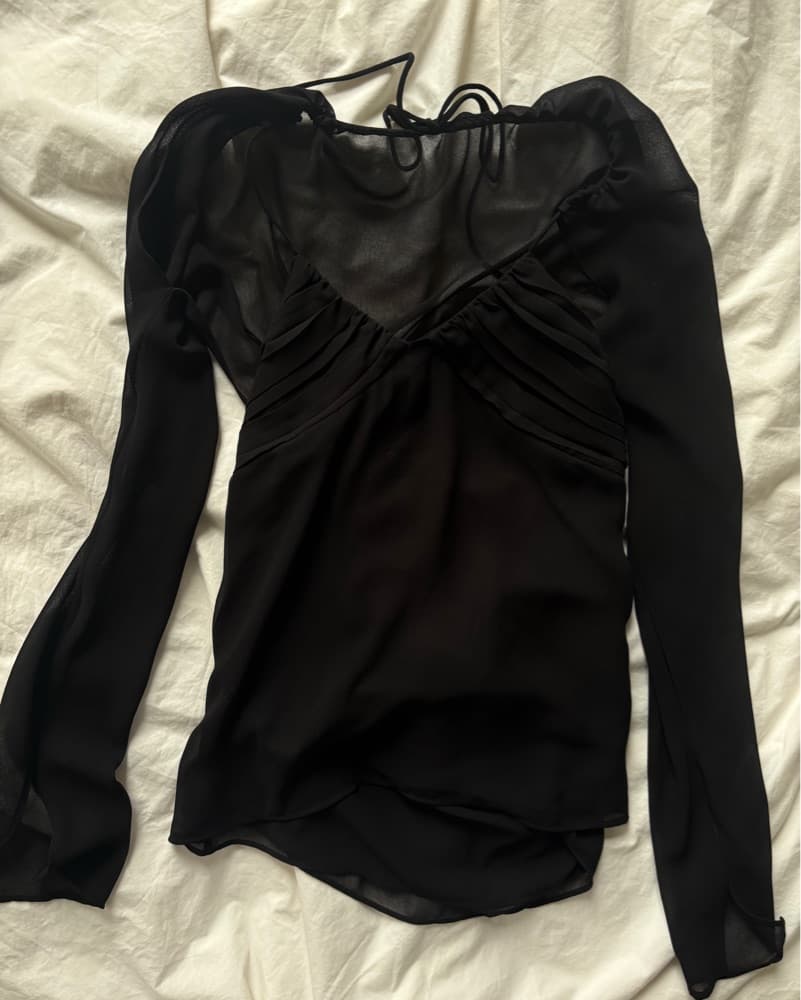 Zara Sheer Long Sleeve Top Backless - Image 4
