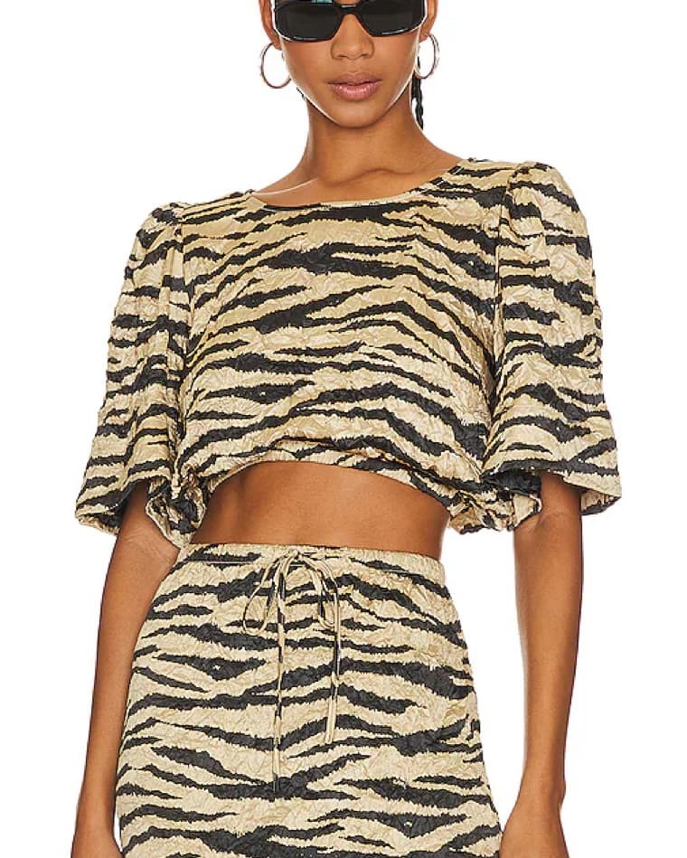 Zebra Print Crop Top and Pants Set - Image 3