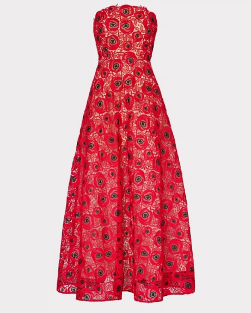 Netty Embroidered Lace Maxi Dress - Image 3