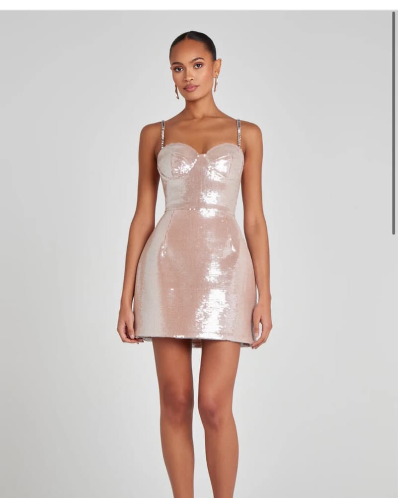 Nadine Merabi Leyton Champagne Dress - Image 1