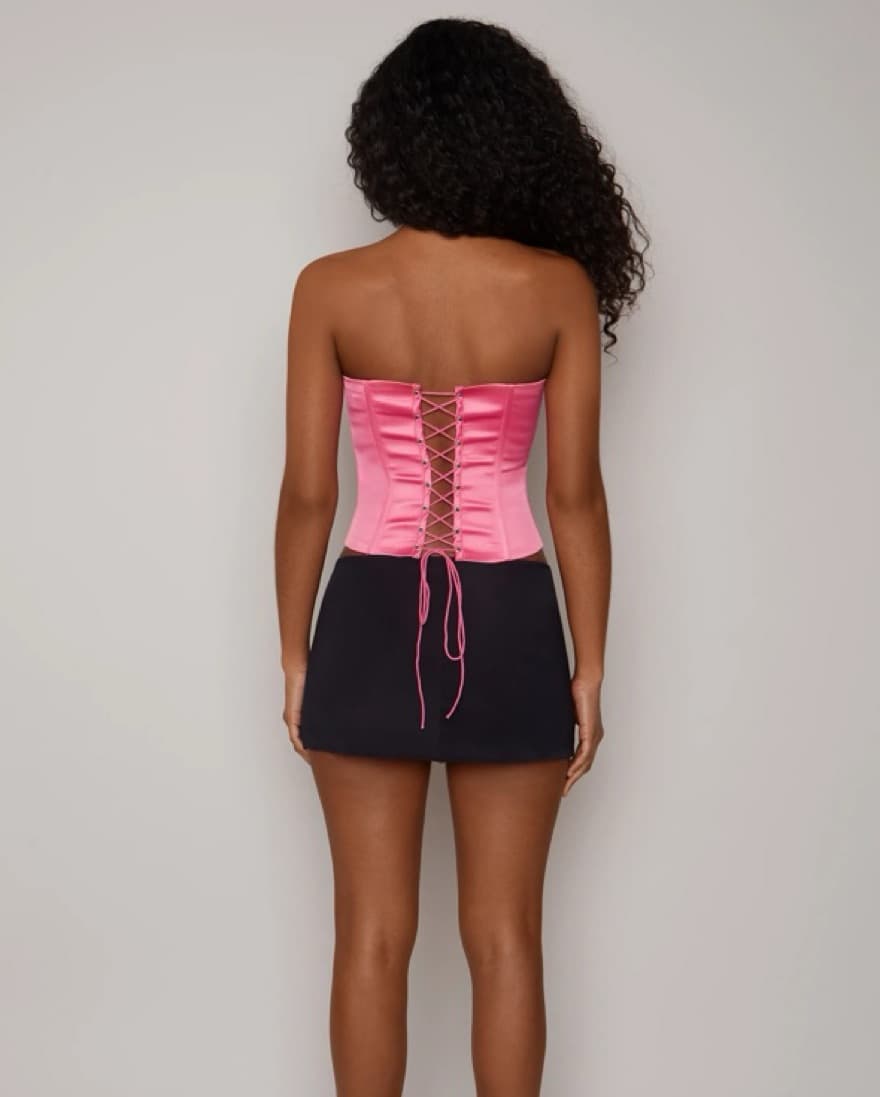 Danielle Guizio Pink Corset - Image 5