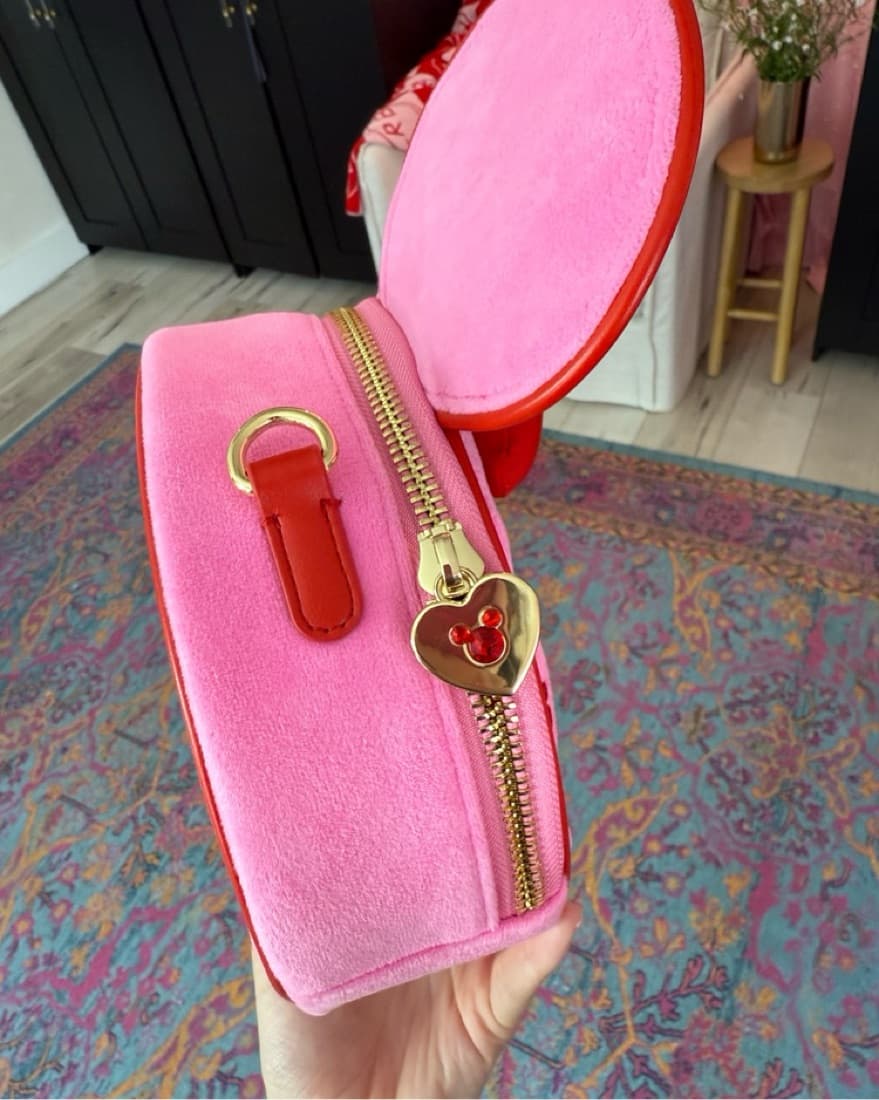 (RARE) Stoney Clover x Disney Crossbody  - Image 5