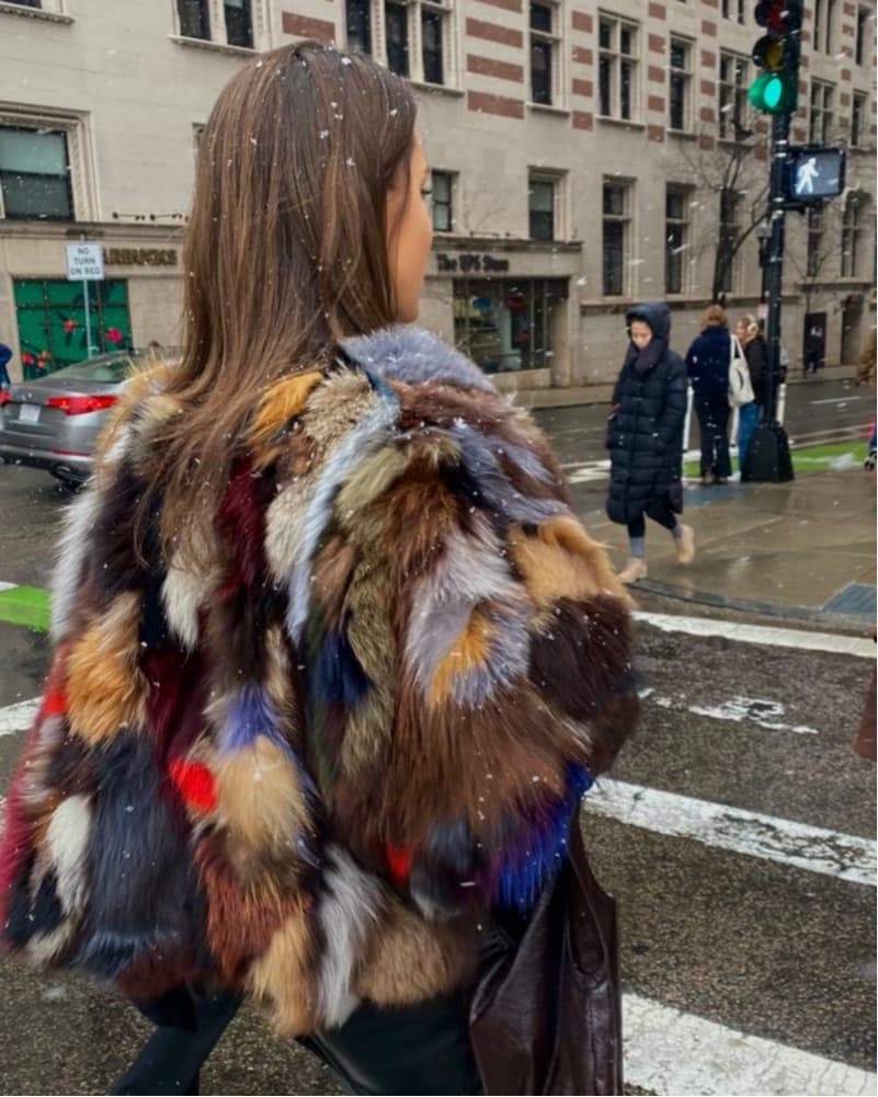 Fur Vest - Image 1