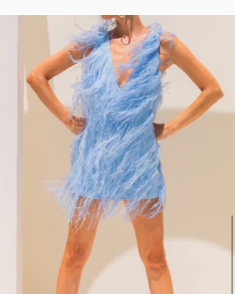 Lisa  Maree Mini Blue Feather Dress Smal - Image 1