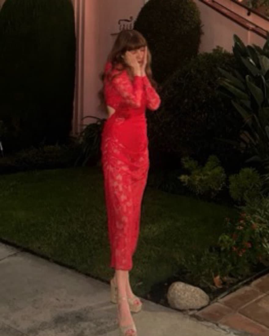 For Love And Lemons Red Lace Dress - Image 1