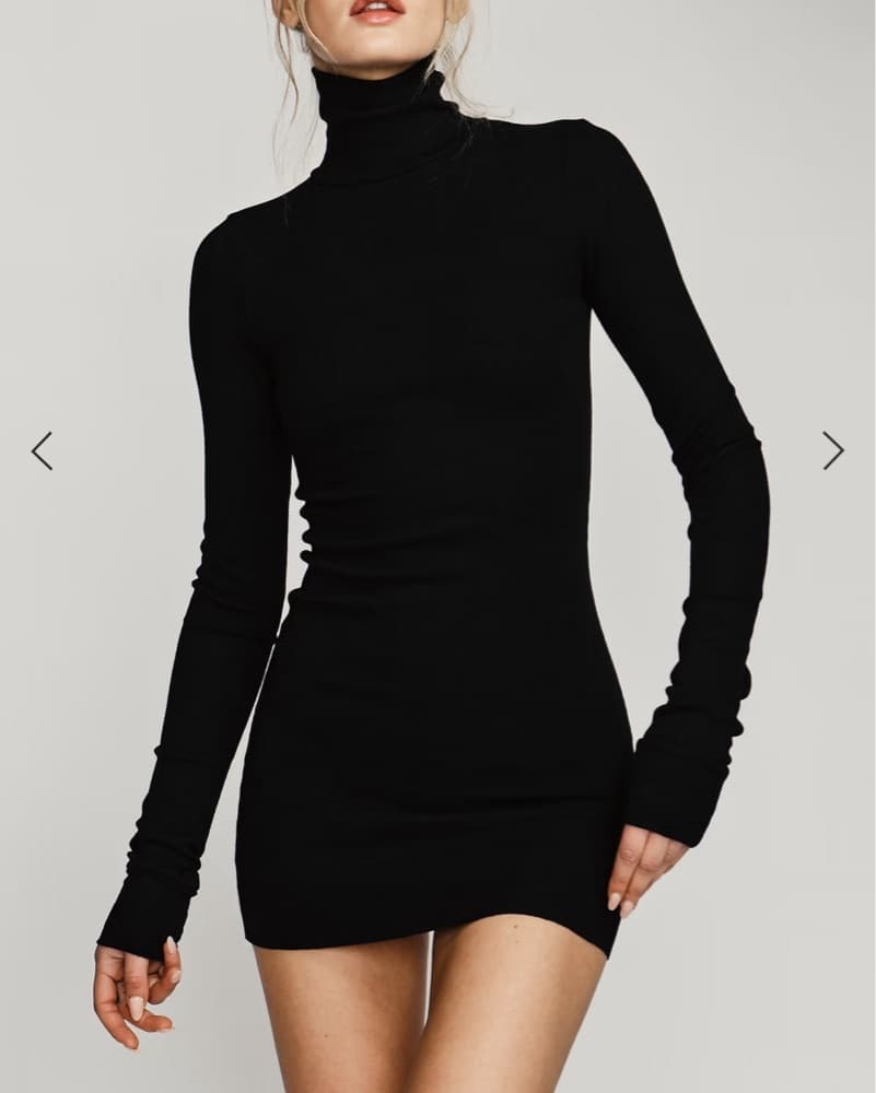 Eterne Sleek Black Turtleneck Dress - Image 1