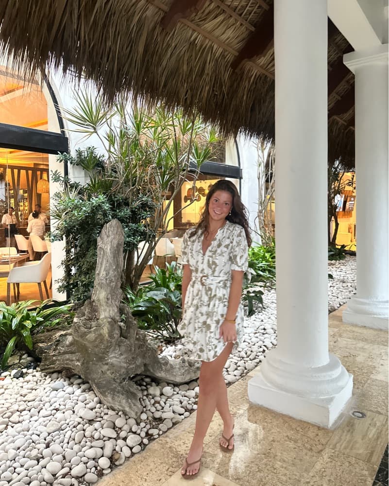 Zara Printed Mini Dress With Embroidery  - Image 2