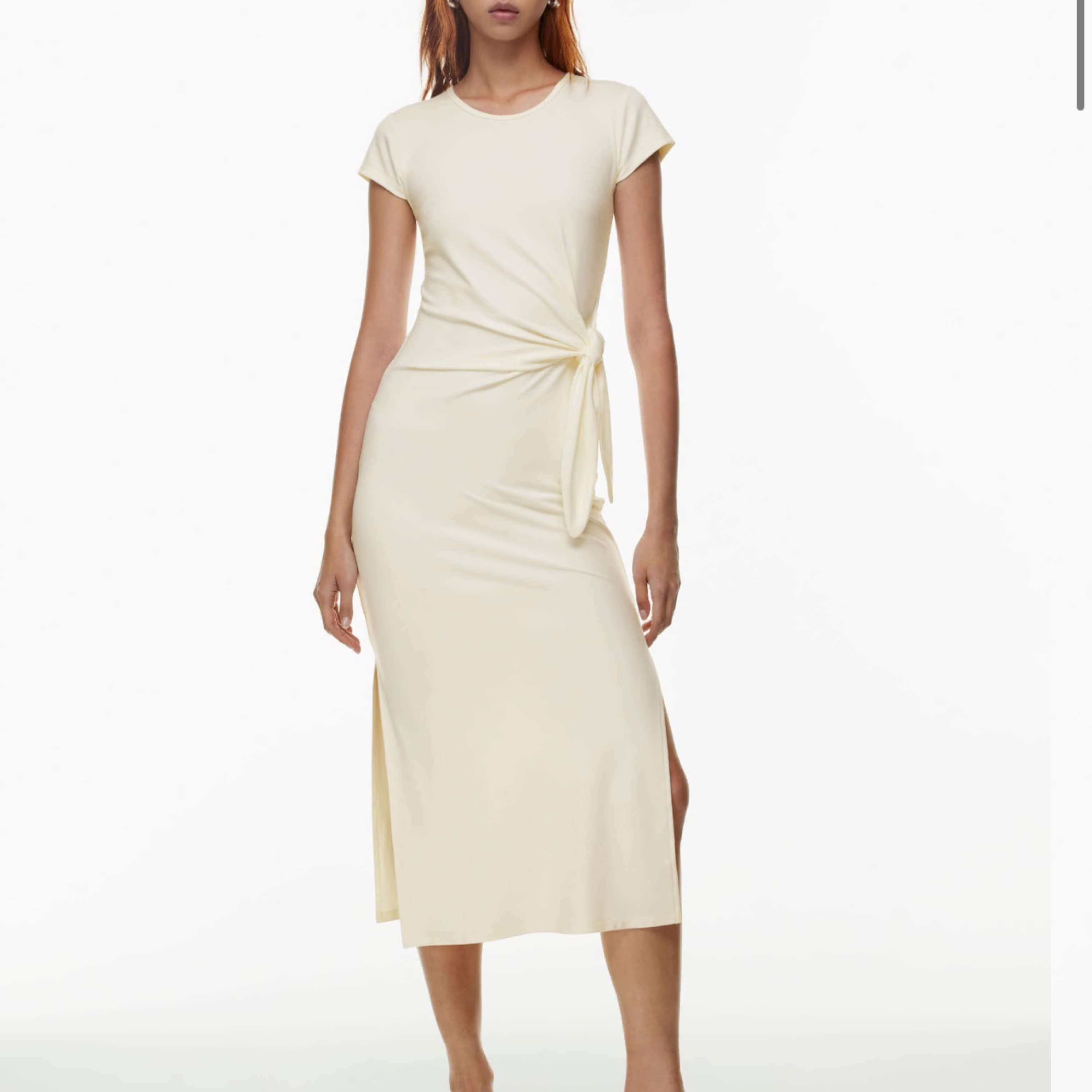 Aritzia good fortune Dress - Image 2