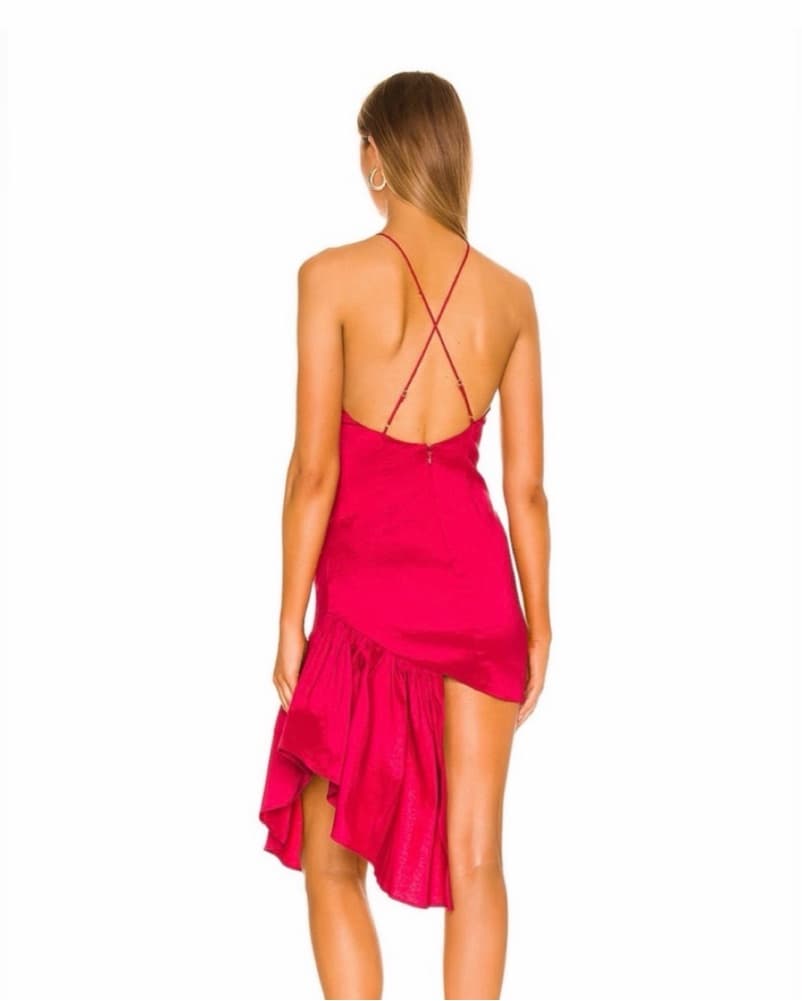 Lovers And Friends Mini Dress  - Image 3