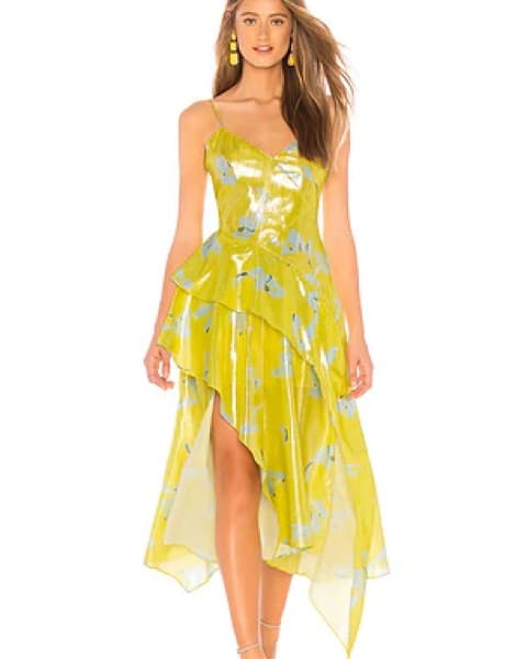 Tanya Taylor Analia Dress - Image 1