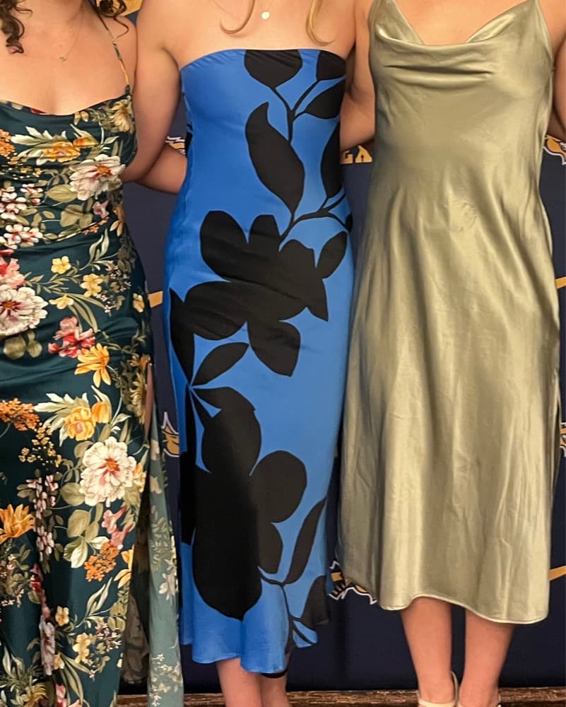 Anthropologie Satin Midi Slip Dress - Image 1