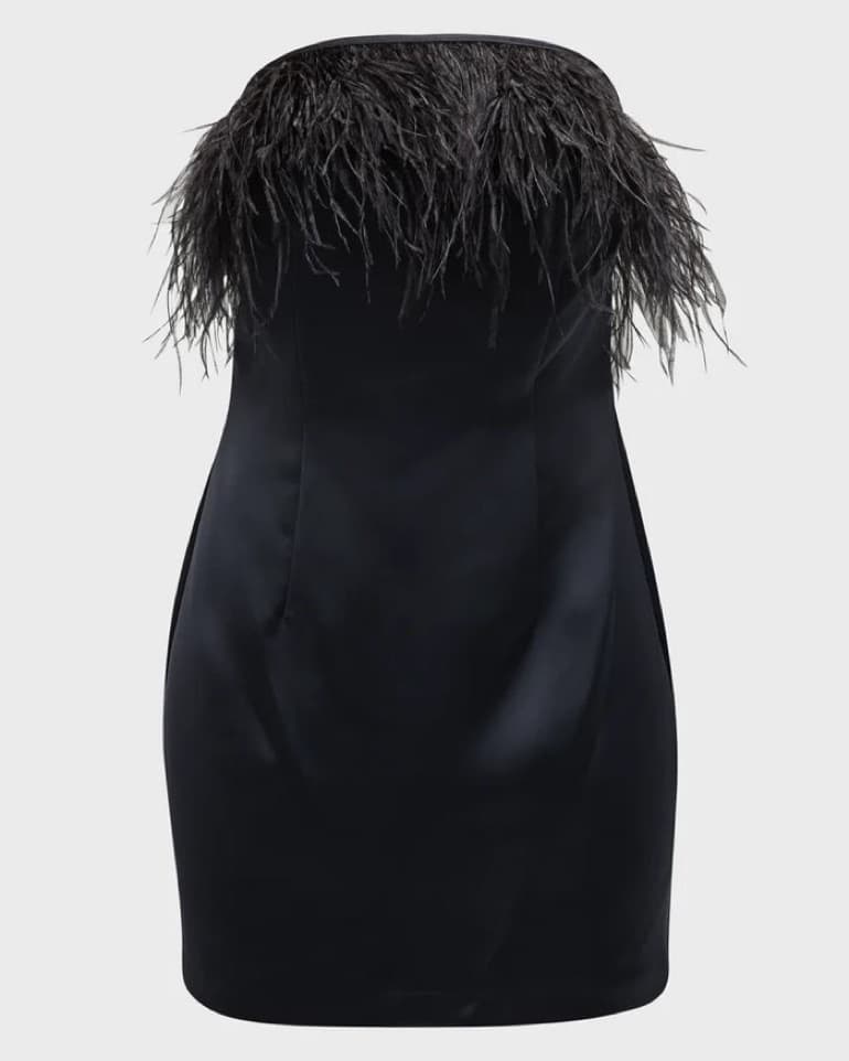Aurelia Feather Mini Dress - Image 1