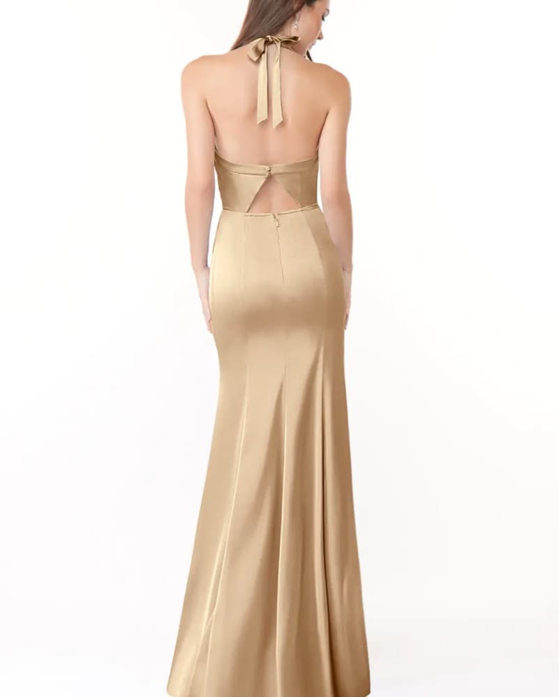 Champagne Dress - Image 5
