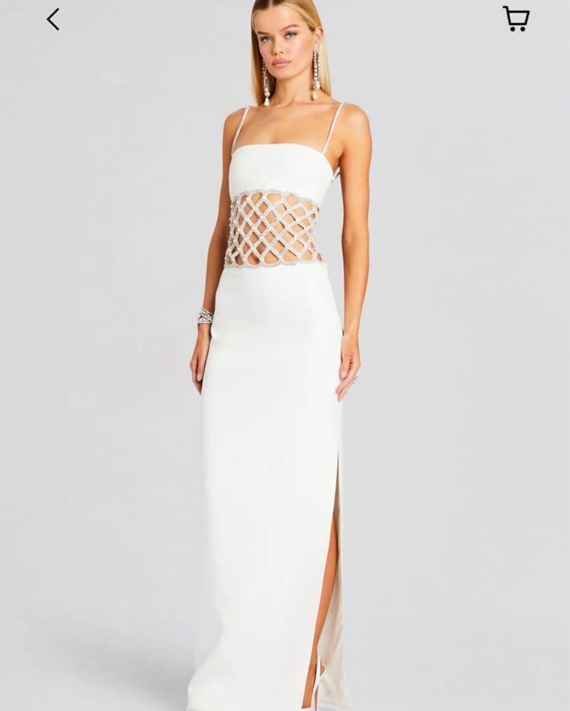 Retrofete DUPE- Custom Made Gown - Image 3