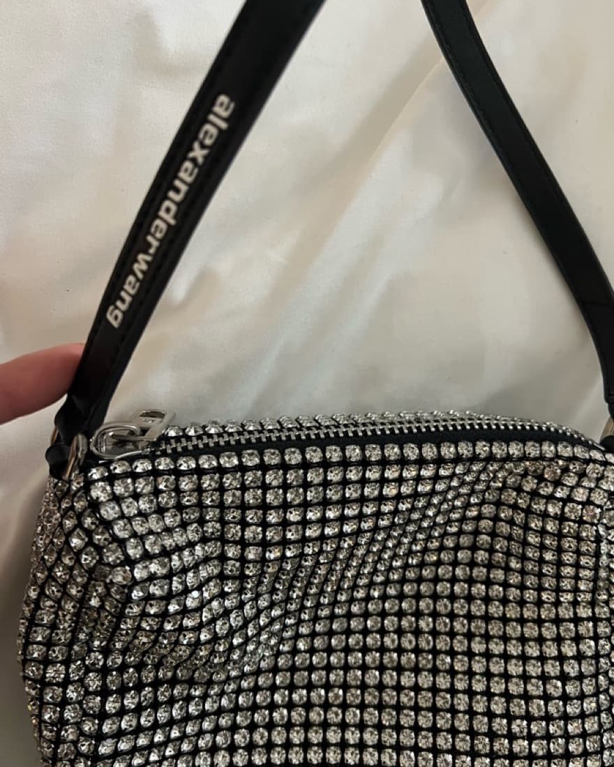 Alexander Wang Heiress Pouch  - Image 3
