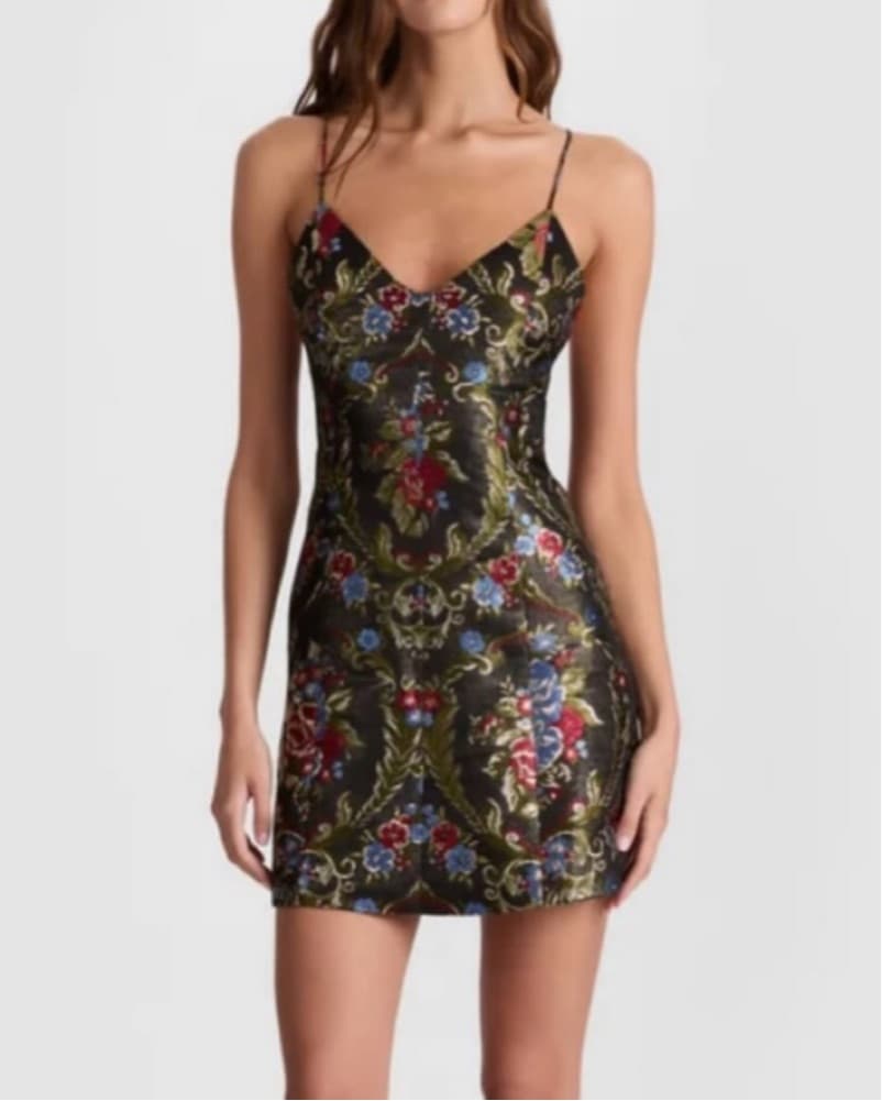Alice + Olivia Mini Dress - Image 1