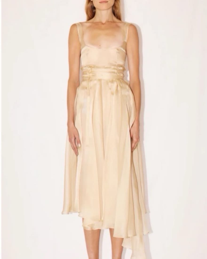 Organdy Pleated Silk Dress - Image 3