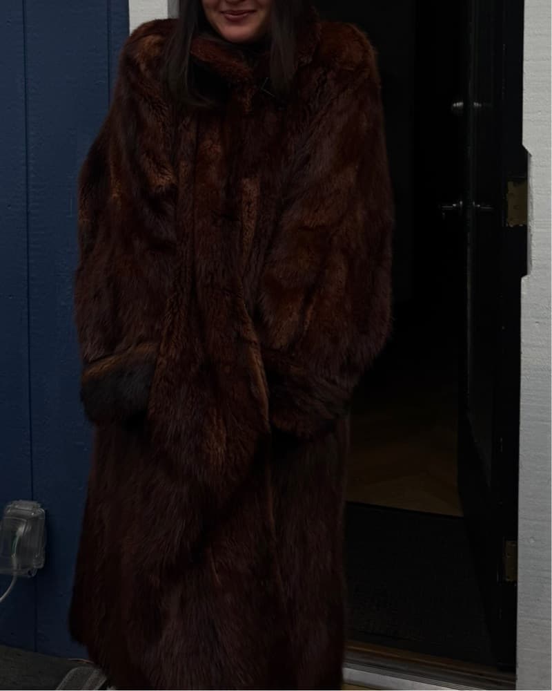 Vintage Fur  - Image 1