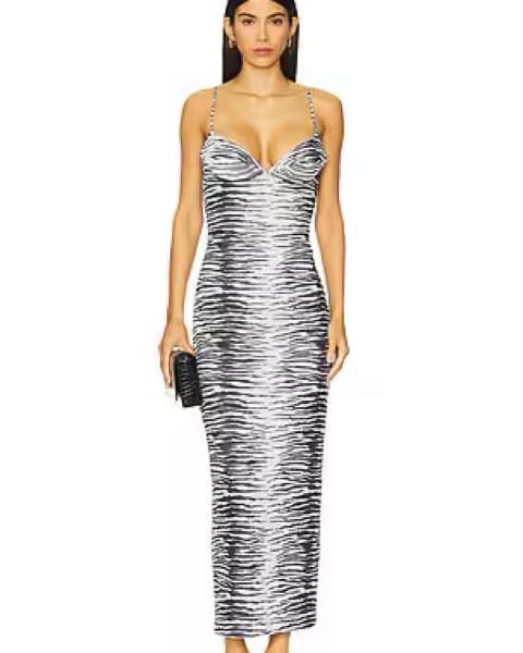 Miaou Zebra Dress - Image 1