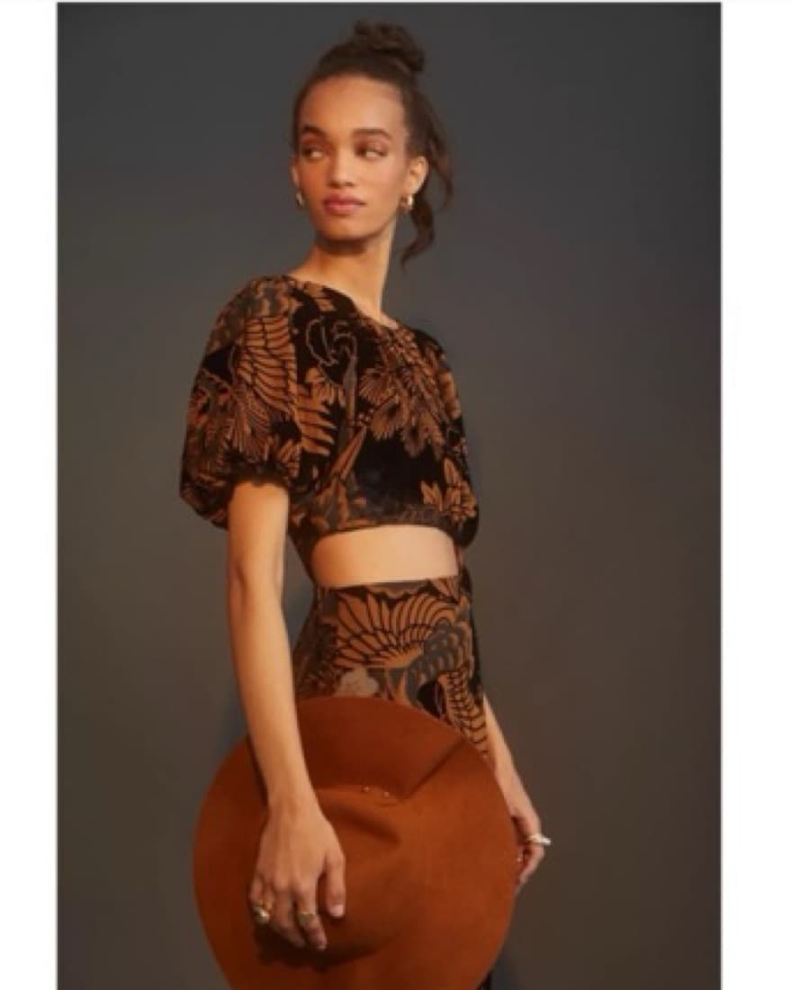 Anthropologie Velvet Cutout Maxi Dress - Image 2