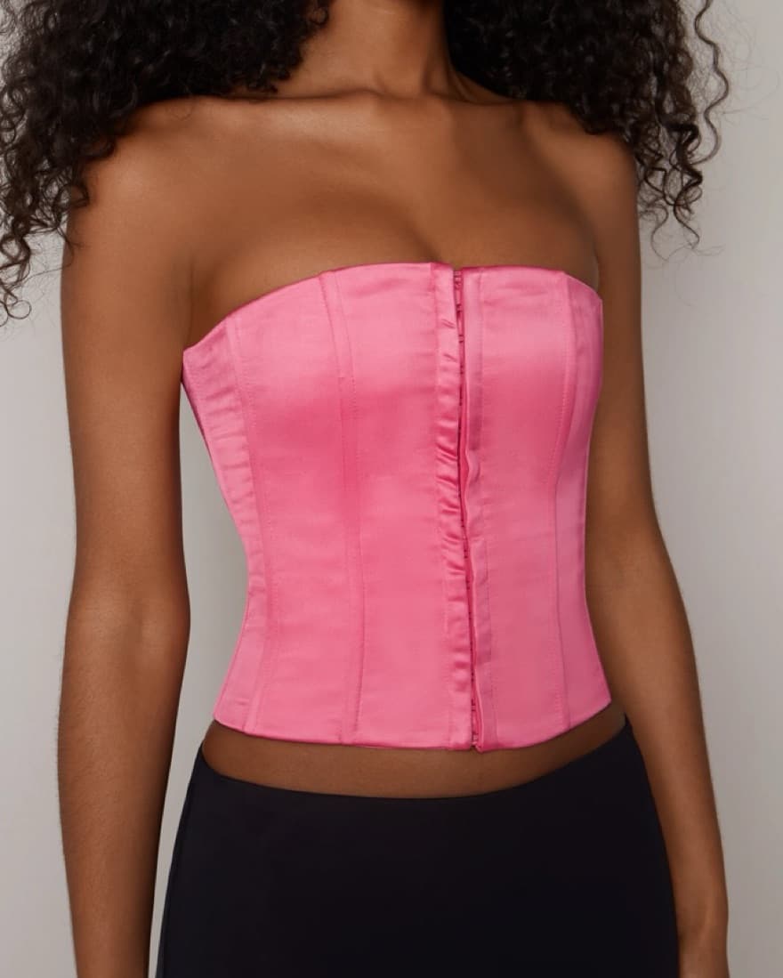 Danielle Guizio Pink Corset - Image 4