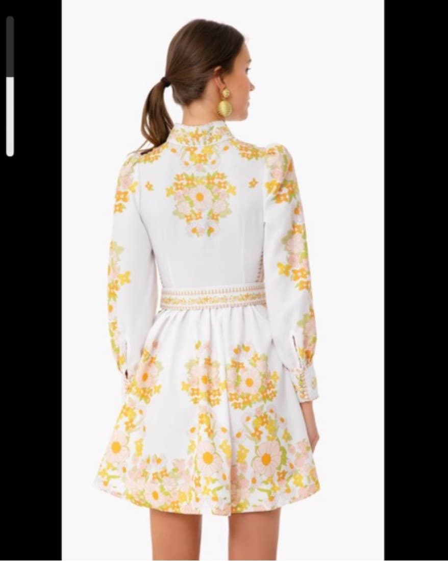 Tuckernuck Beulah Mini Dress  - Image 2