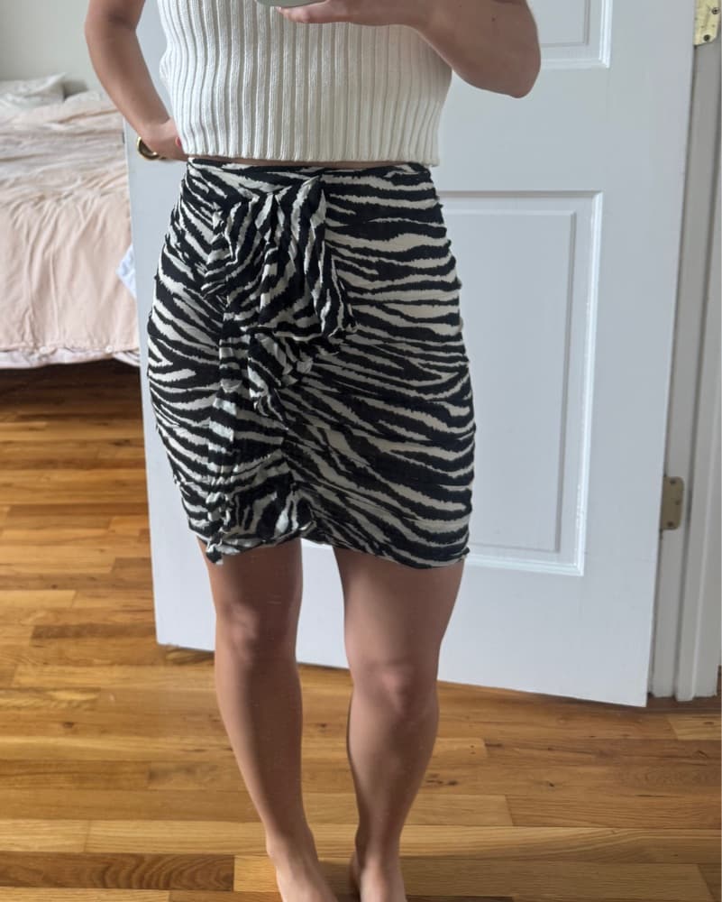 Isabel Marant Etoile Zebra Stripe Skirt - Image 3