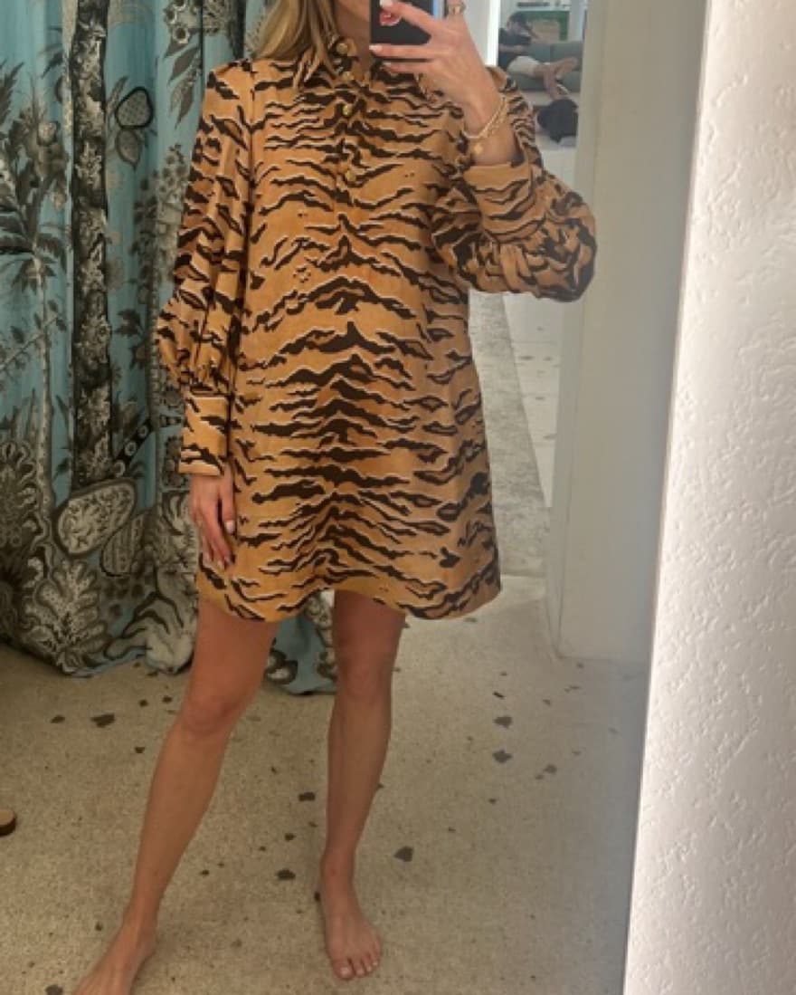 Zimmermann Tiger Print Dress - Image 2