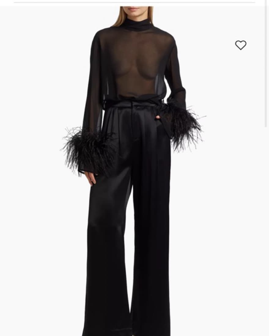 Sheer Top With Feathers - Image 1