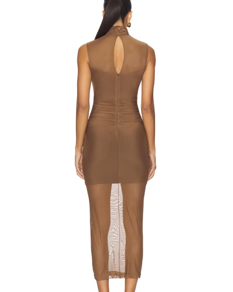 Damira Dress - Brown Sheer Mock Neck - Image 3