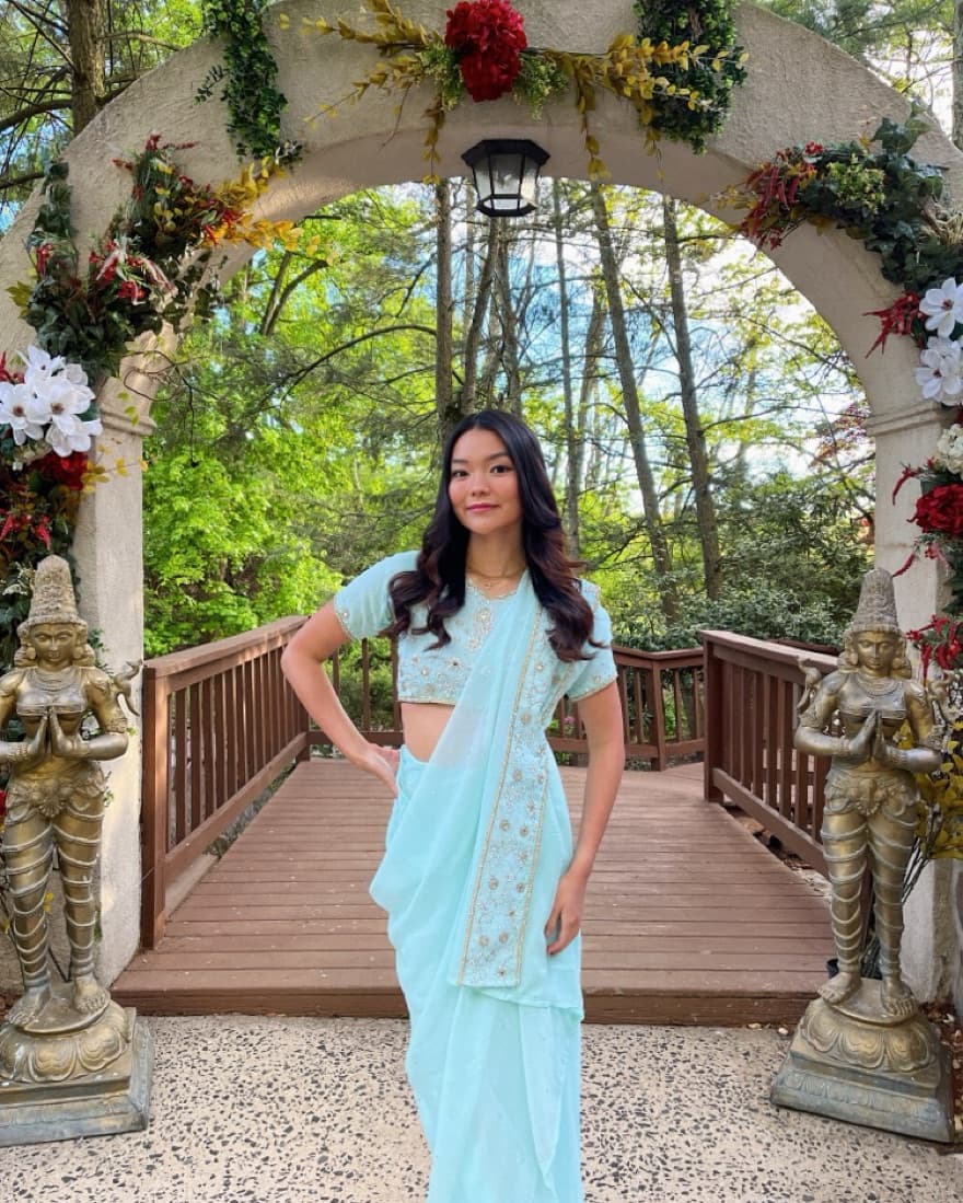 Blue Traditional Indian Saree - Image 2