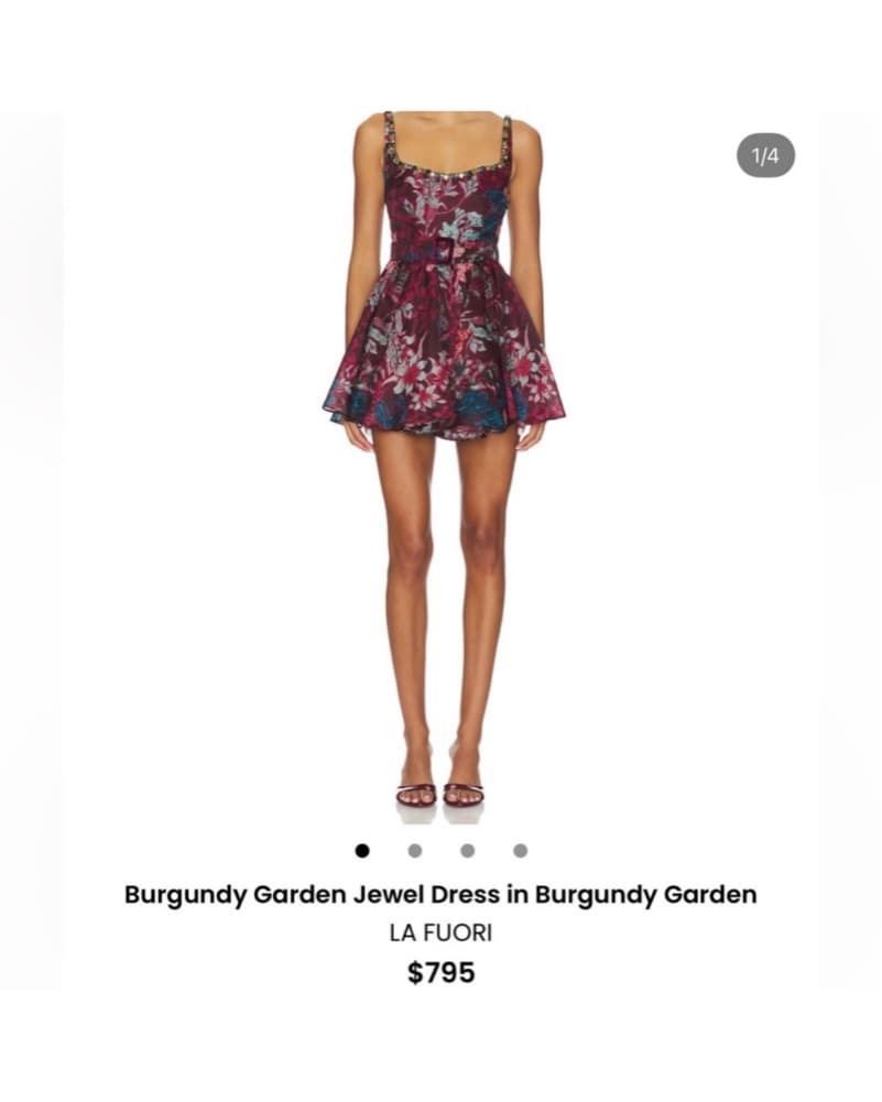 La fuori Burgundy Garden Jewel Dress - Image 1