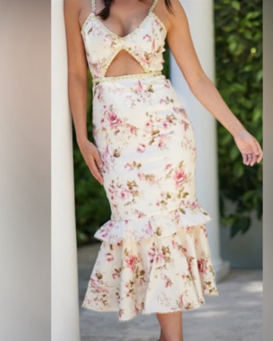 V. Chapman Luna Dress - English Rose - Image 4