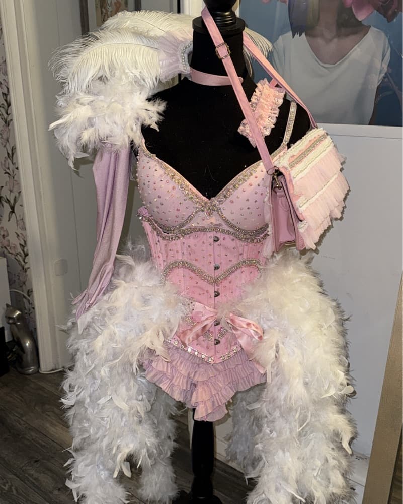 Life Of A Showgirl Costume  - Image 1