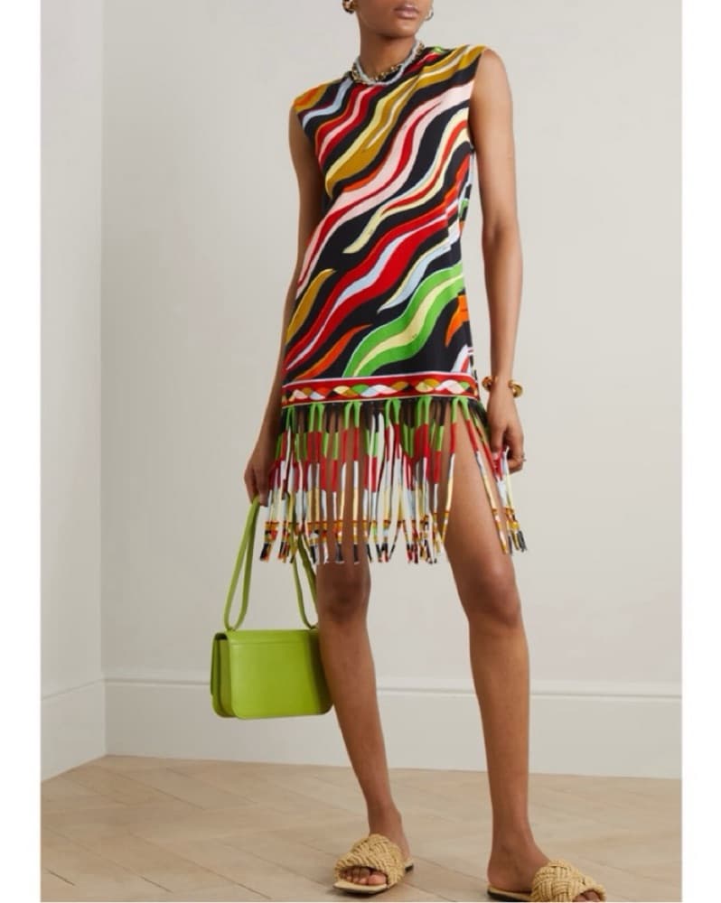 Emilio Pucci Fringed Dress - Image 2
