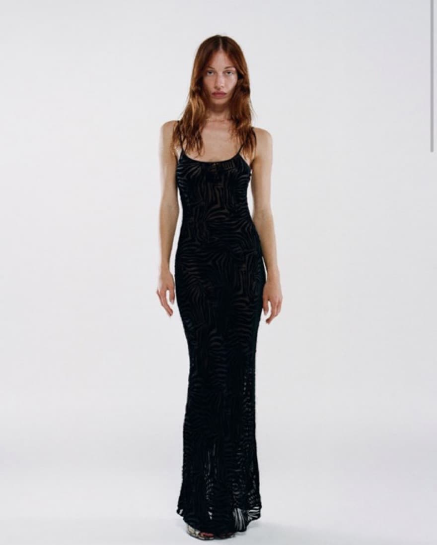 Realisation Par Amber Dress (Zebra)(S) - Image 2