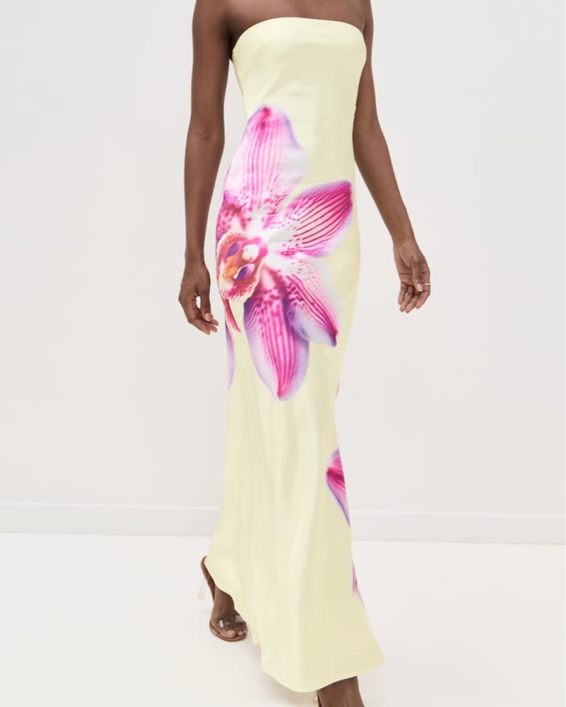 Celeste Maxi Dress - Image 1
